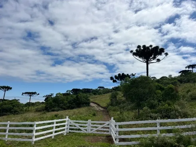 Oportunidade: Chácara 23.000 m² em Criúva/Caxias - vista e silêncio absoluto