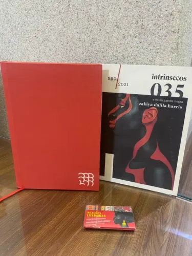 Livro A outra garota negra Clube Intrínsecos