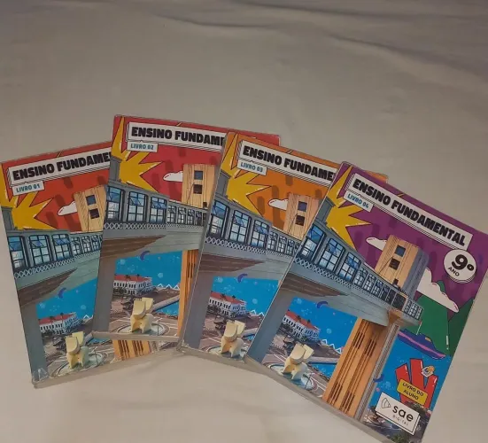 Livros Ensino Fundamental 1º ao 9º Ano - Completo