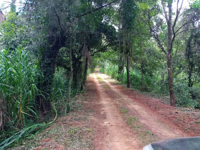 Terreno em morada Nova.