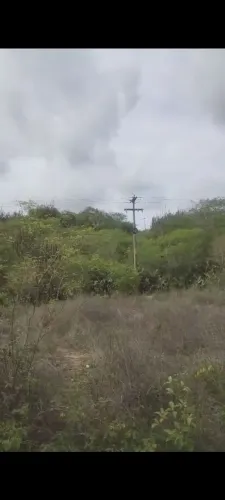 Sítio em Pocinhos a poucos 250 metros da Br 230