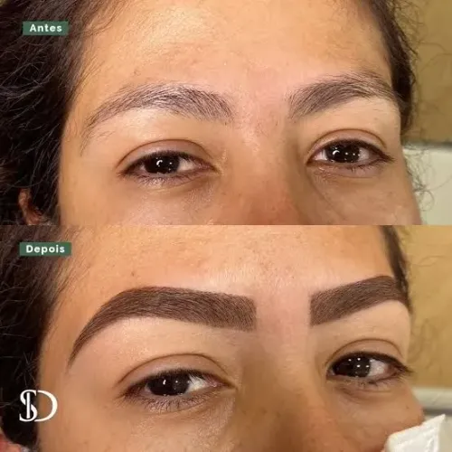 ? Designer de Sobrancelhas Profissional ?<br>