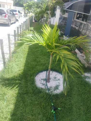 Limpeza de jardim e terrenos 