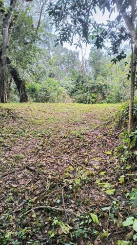 Terreno Interior p Sitio 10x30 300m² Entrada p Veiculo Cotia Ibiúna, Aceito Carro Troca