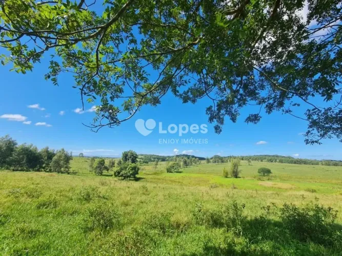 Fazenda em São Vicente de Paula, Araruama