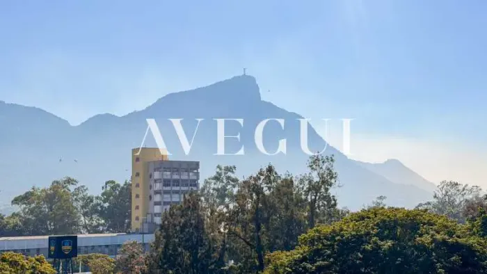 Apartamento : / Residencial / Leblon