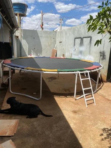 Pula pula gigante 