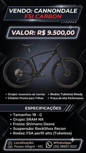 Canondale FSI Carbon 19