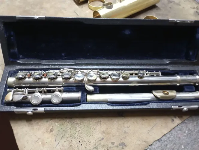 Flauta transversal DOLPHIN