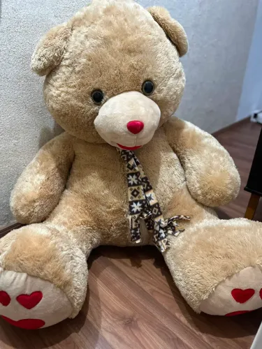 Urso GG NOVO