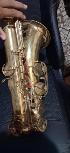 Sax tenor shelter