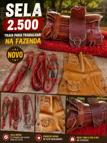 Vende-se cela 2.500 reais