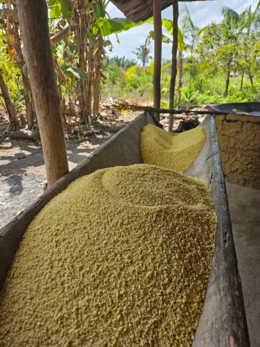 FARINHA DE BRAGANÇA 100% ORIGINAL SEM MISTURAS E SEM CONSERVANTES