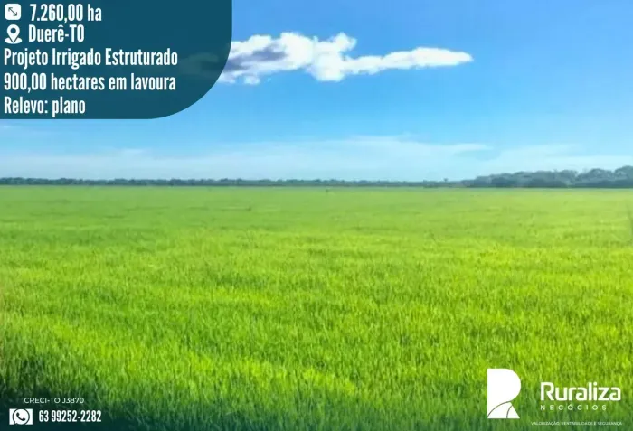 7.260 HA | 1.000 HA PARA ABERTURA | VÁRZEA E TERRA PRETA