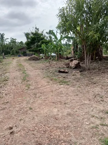 Terreno setor chacareiro