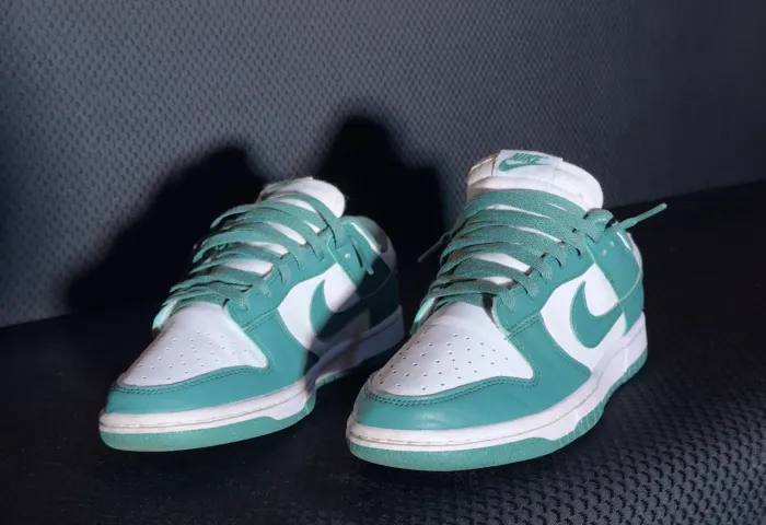 Nike Dunk Low Bicoastal Women