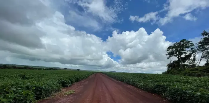 Fazenda a venda - Nazário - GO