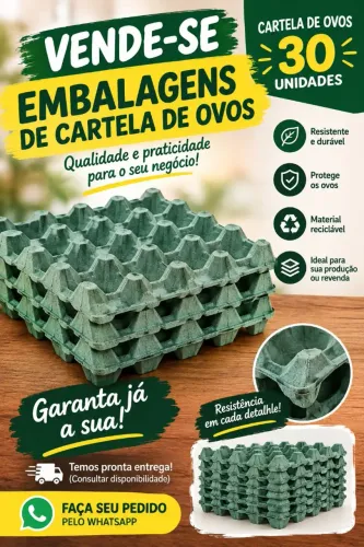 Cartelas para armazenamento de ovos, 1.00 real cada.