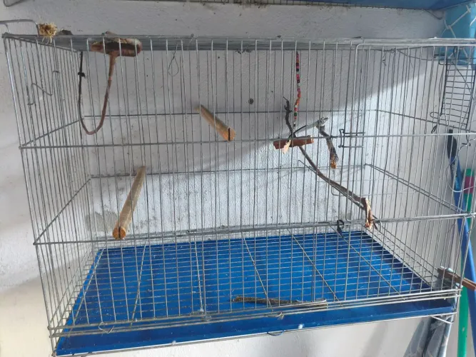 Gaiola de ferro 70cm