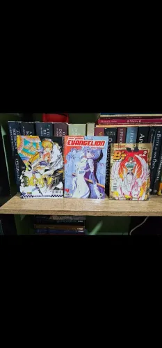 mangás variados: evangelion, d.gray-man, megaman, ragnarok, fushigi yugi, bt'x e MAIS.