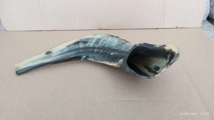 Shofar de Carneiro