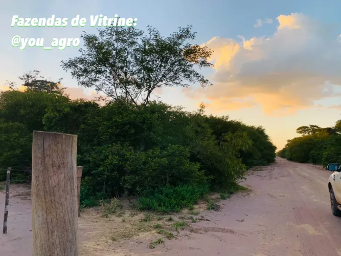 Fazenda Bruta de 15.650 Hectares no Piauí - Alvorada do Gurguéia - PI