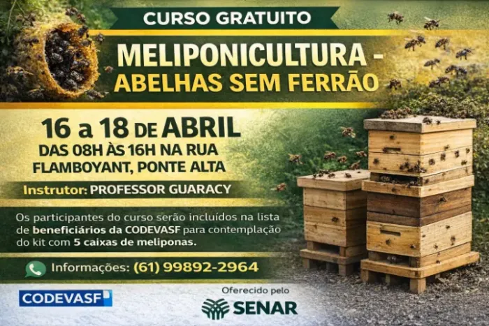 CURSO GRATUITO DE MELIPONICULTURA Abelhas sem ferrão
