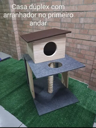 Playground de gato