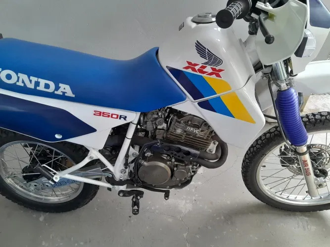 Xlx 350 