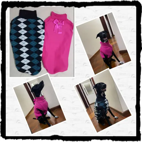 Roupa pet para cachorro sob encomenda e sob medida 