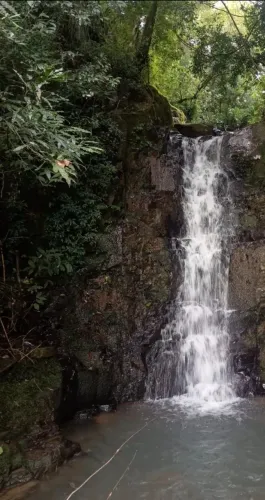 Maravilhosa Chácara Ideal para Cabanas Vista 360°