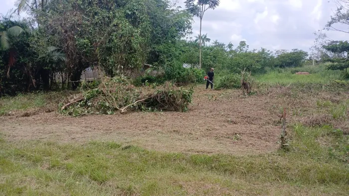 Terreno