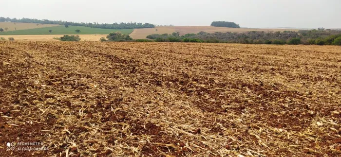 Vende se fazenda na região de Tuneiras do oeste