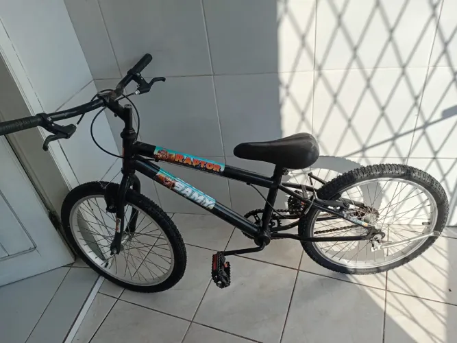 Bicicleta