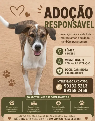 Adoção responsável 