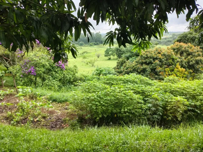 PROPRIEDADE COM 630.000 M2 -26 ALQ. EM JACAREI- SP