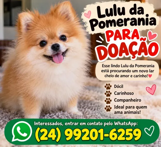 Doação Lulu
