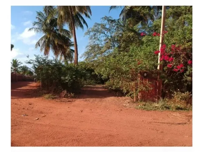 Terreno à venda em São Miguel do Gostoso/RN - 21.000 m² - A 900 metros da Praia da Xêpa