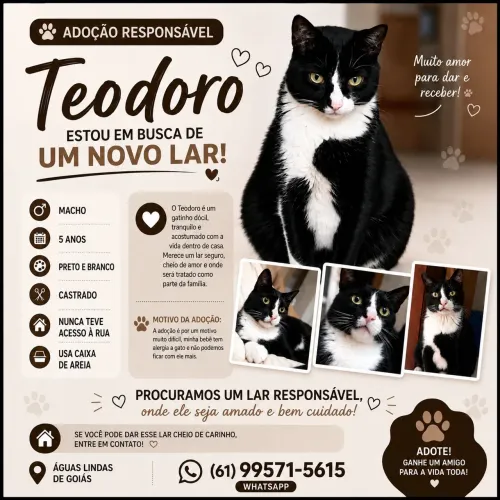 Doação Responsável