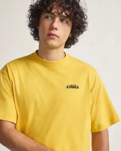 camiseta vans skate atiba g