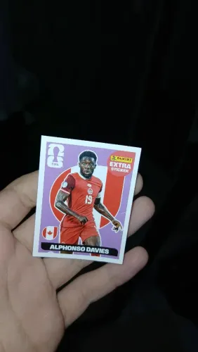 LEGENS DAVIES ROXA COM PEQUENO DETALHE