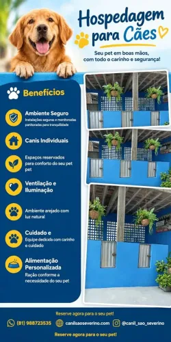 Hotel para pets
