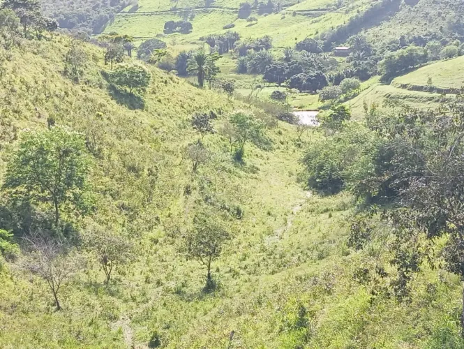 Sítio em Flexeiras ?