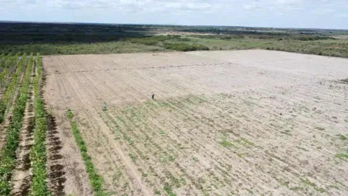 fazenda com 50 hectares na região de touros 100% desmatada