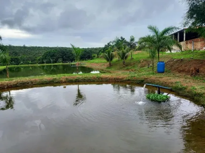 Atenção Investidores! Vendo ou arrendo área ao lado do Aeroporto de Águas Lindas!