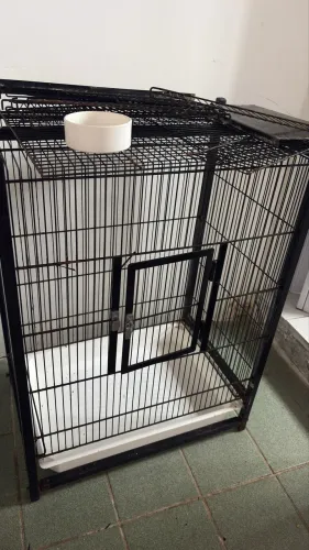 gaiola passarinho ou animais exóticos