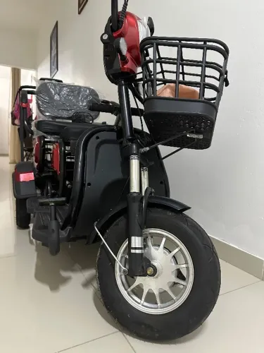 Triciclo Elétrico S250 Cadeira Bicicleta 700W MODELO 2026 Dois Assentos Cadeiras