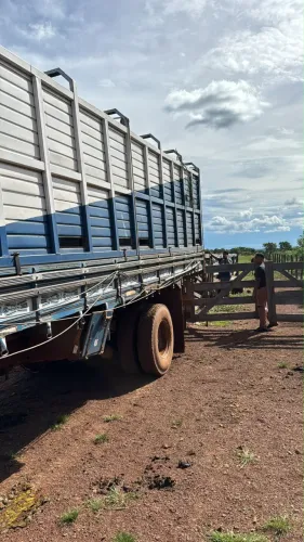 Vende-se gaiola, toda reformada valor 25.500 mais informações *
