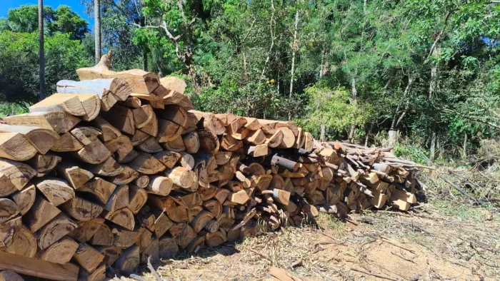 Serviço de Cerca/Curral e Serragem de madeiras em Geral 