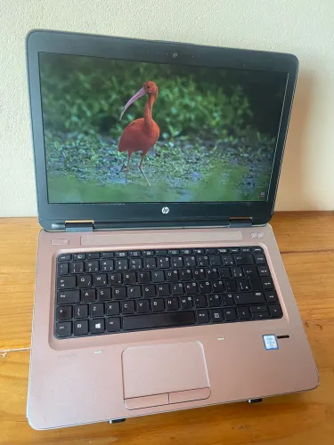 Notebook HP i5 6ª Geração / HD Graphics / 8GB RAM / 120GB SSD / Tela 14?